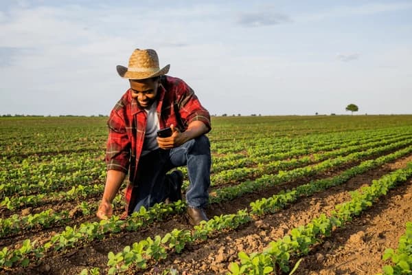 Farmer using digital tools in the field